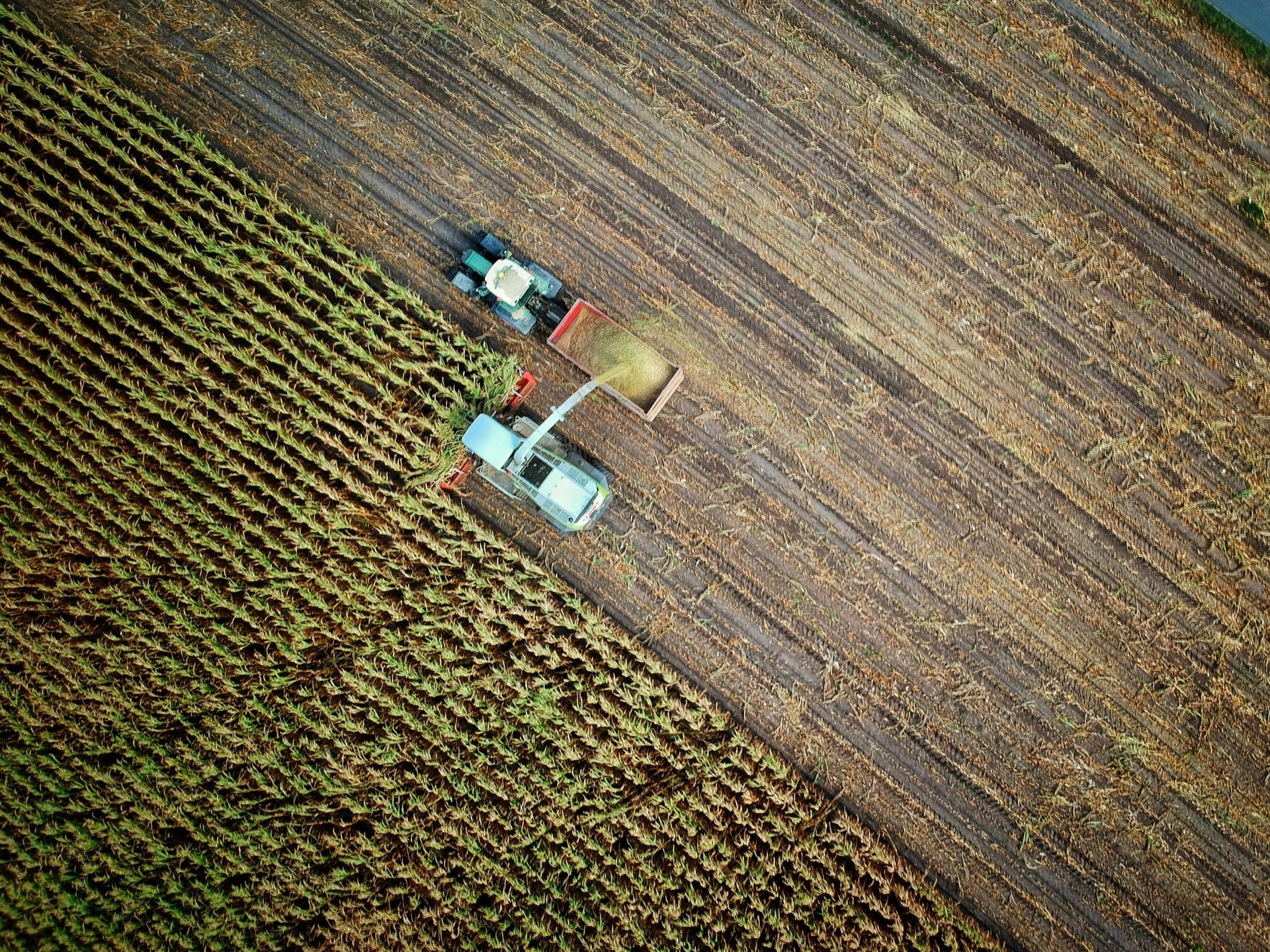 Aerial view of a tractor harvesting crops in a field, dividing the cultivated and harvested areas.